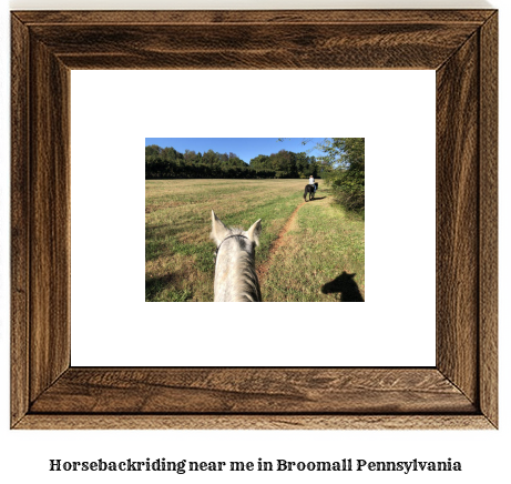 horseback riding near me in Broomall, Pennsylvania